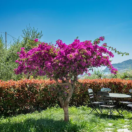 Ca' Silvia Villa